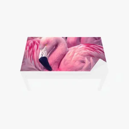 Tischaufkleber und Schreibtischaufkleber rosa flamingo nahaufnahme – Pixers®