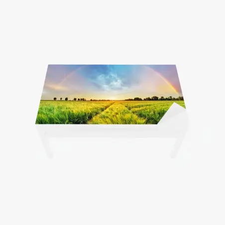 Tischaufkleber und Schreibtischaufkleber regenbogen über goldenem weizenfeld bei sonnenuntergang – Pixers®