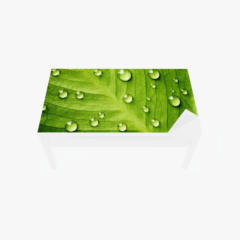 Tischaufkleber und Schreibtischaufkleber frisches grünes blatt mit wassertropfen