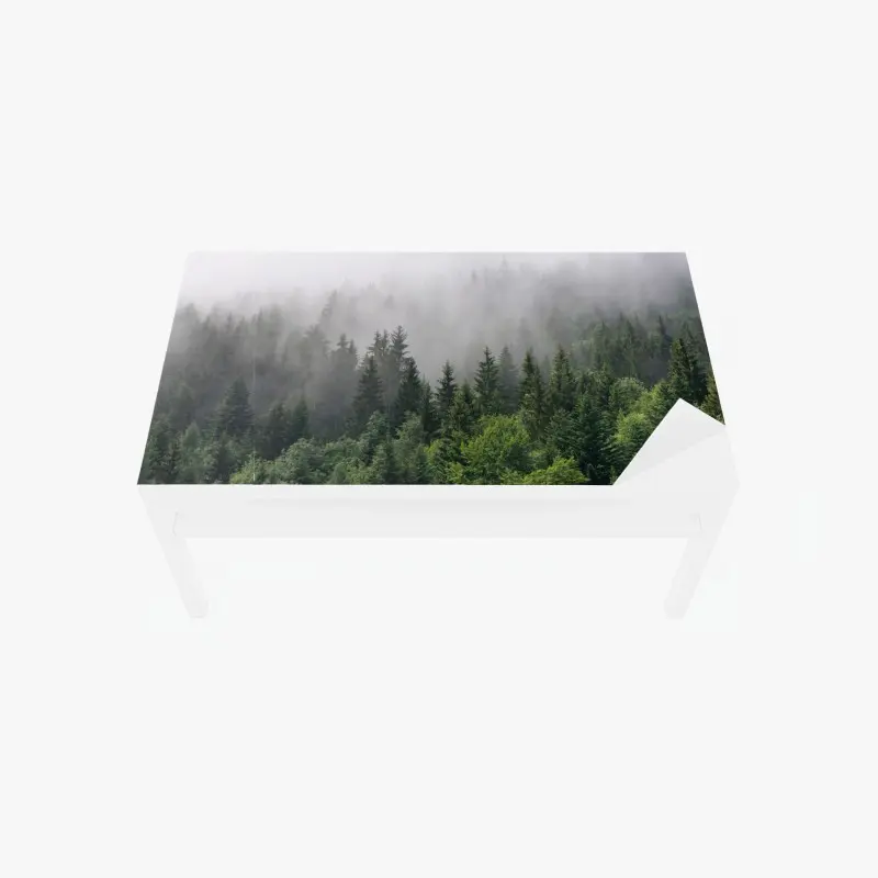 Tischaufkleber und Schreibtischaufkleber nebliger immergrüner wald panorama