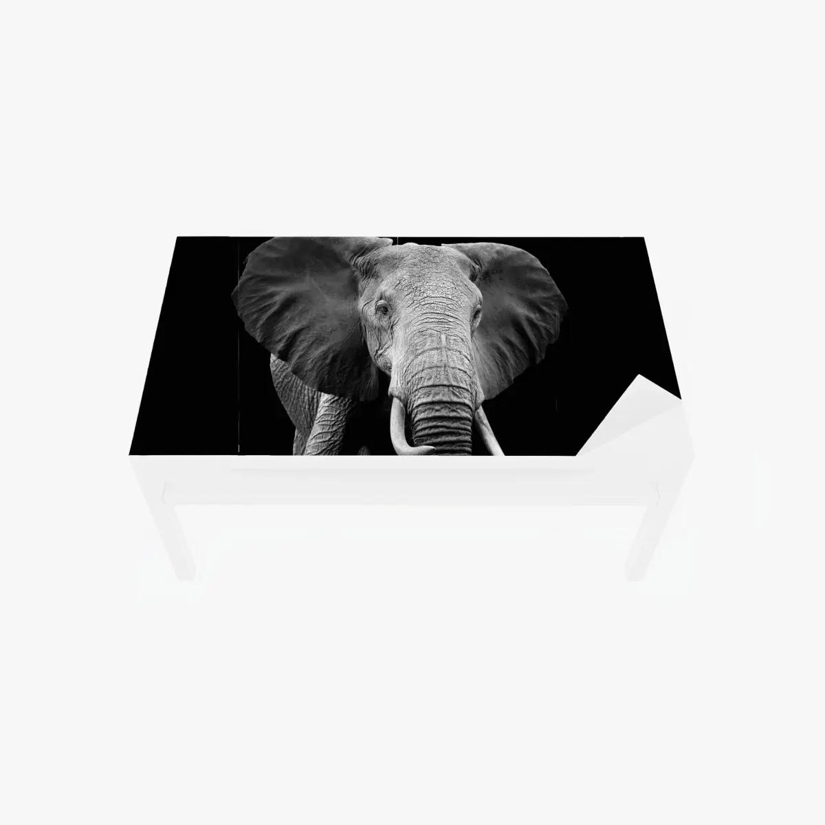 Tischaufkleber und Schreibtischaufkleber majestätisches elefantenporträt in monochrom – Pixers®