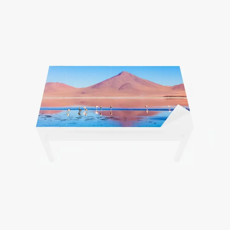 Tischaufkleber und Schreibtischaufkleber flamingos am Laguna Colorada, Bolivien