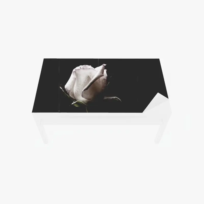 Tischaufkleber und Schreibtischaufkleber weiße rose vor schwarzem hintergrund