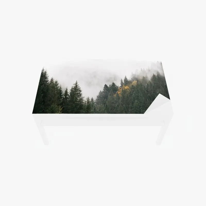 Tischaufkleber und Schreibtischaufkleber nebliger bergwald im dunst
