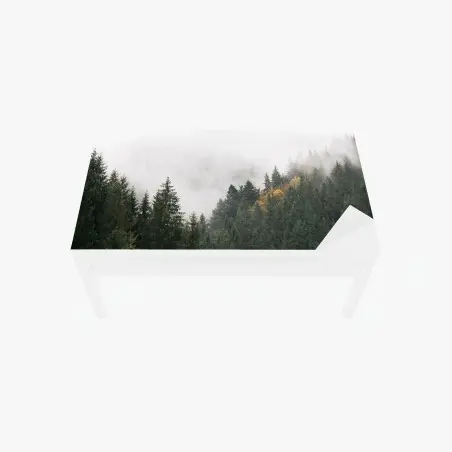 Tischaufkleber und Schreibtischaufkleber nebliger bergwald im dunst – Pixers®