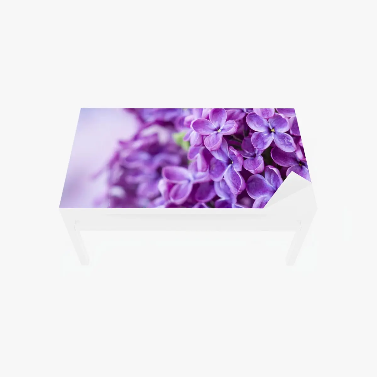 Tischaufkleber und Schreibtischaufkleber lila fliederblüten nahaufnahme – Pixers®