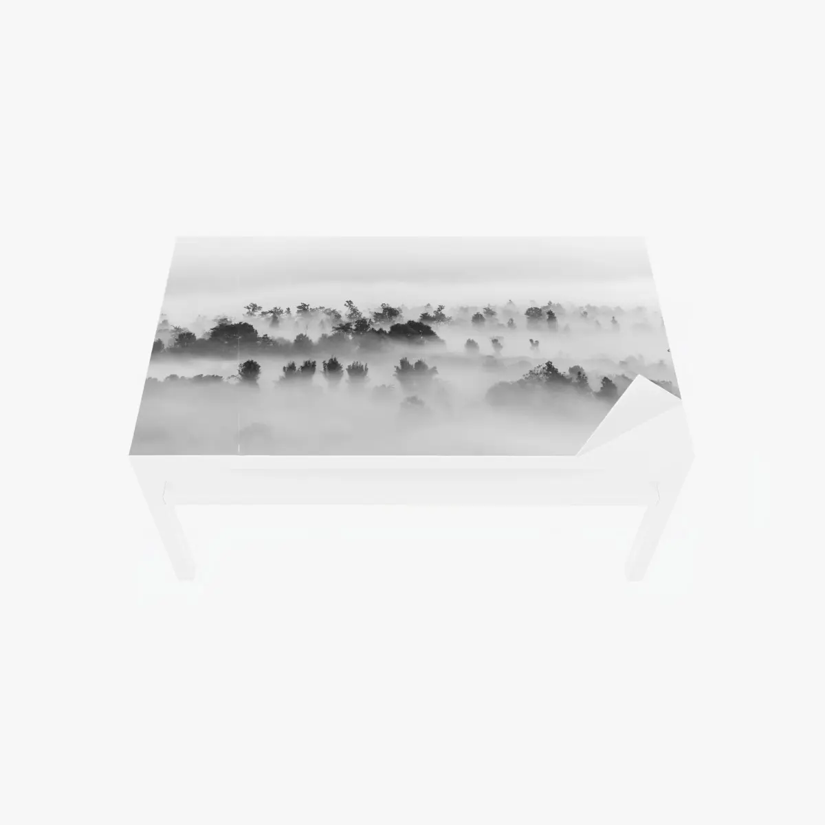 Tischaufkleber und Schreibtischaufkleber nebliger wald in monochrom – Pixers®