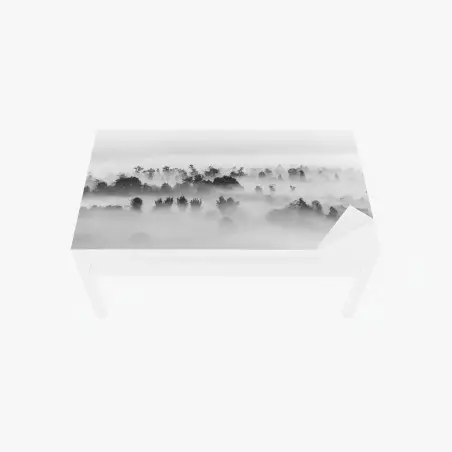 Tischaufkleber und Schreibtischaufkleber nebliger wald in monochrom – Pixers®