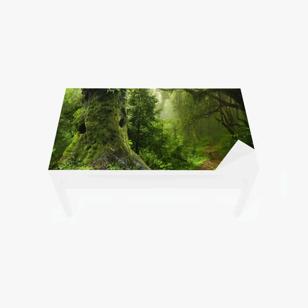Tischaufkleber und Schreibtischaufkleber moosiger alter waldpfad – Pixers®