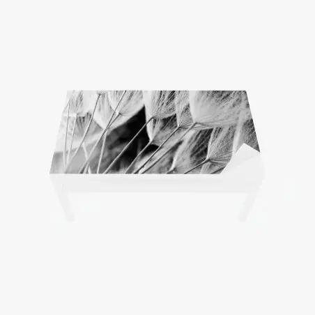 Tischaufkleber und Schreibtischaufkleber zarte nahaufnahme von löwenzahnsamen in monochrom – Pixers®