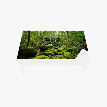 Tischaufkleber und Schreibtischaufkleber üppiger moosbewachsener wasserfall im tropischen wald – Pixers®