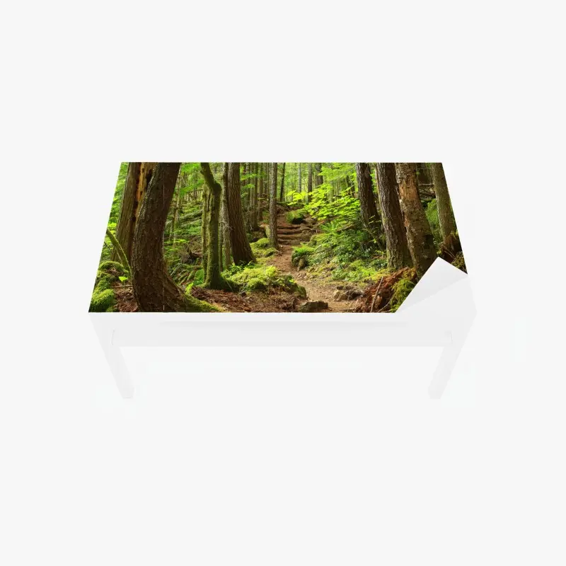 Tischaufkleber und Schreibtischaufkleber moosiger waldpfad
