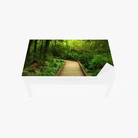 Tischaufkleber und Schreibtischaufkleber ruhiger grüner waldsteg – Pixers®