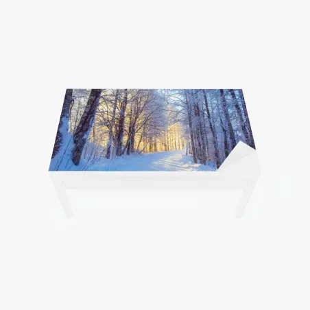 Tischaufkleber und Schreibtischaufkleber birkenwald im winter bei sonnenaufgang – Pixers®