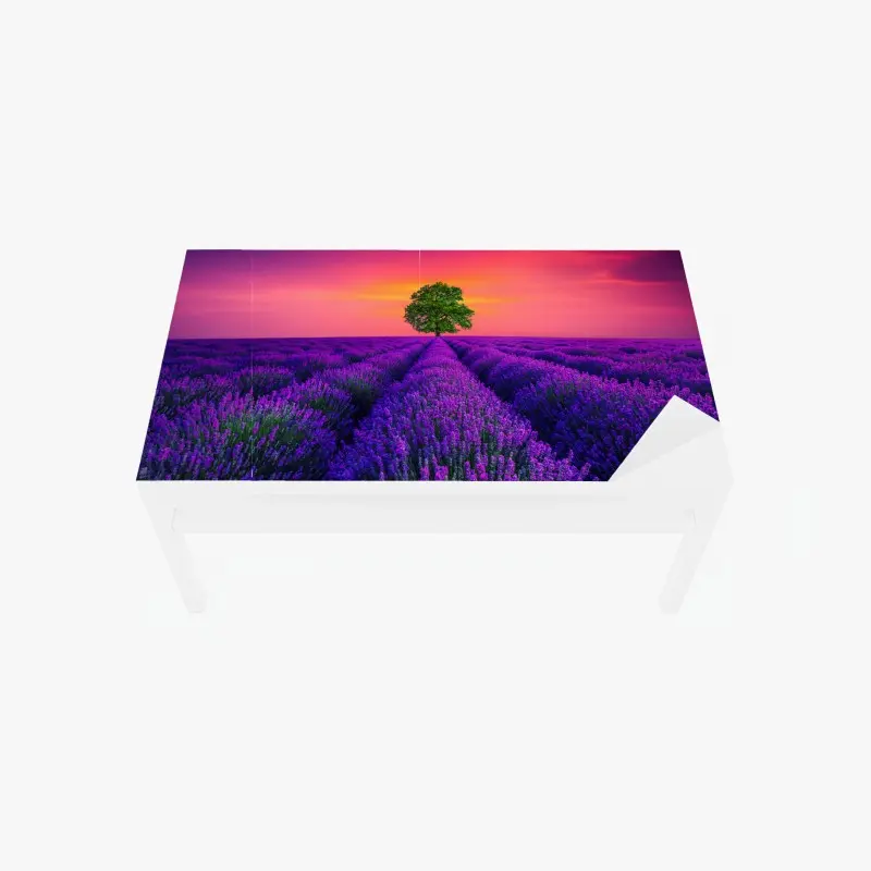 Tischaufkleber und Schreibtischaufkleber lavendelfeld bei sonnenuntergang mit einsamem baum