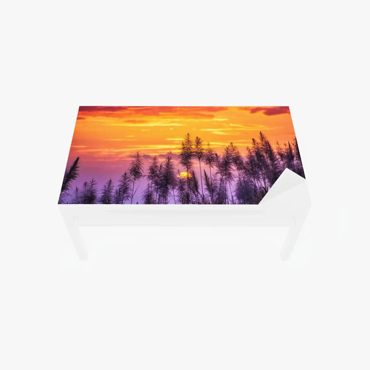 Tischaufkleber und Schreibtischaufkleber goldener sonnenuntergang über wildgräsern – Pixers®