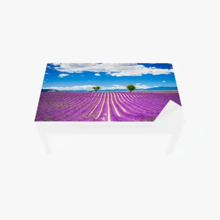 Tischaufkleber und Schreibtischaufkleber lavendelfelder in Provence – Pixers®