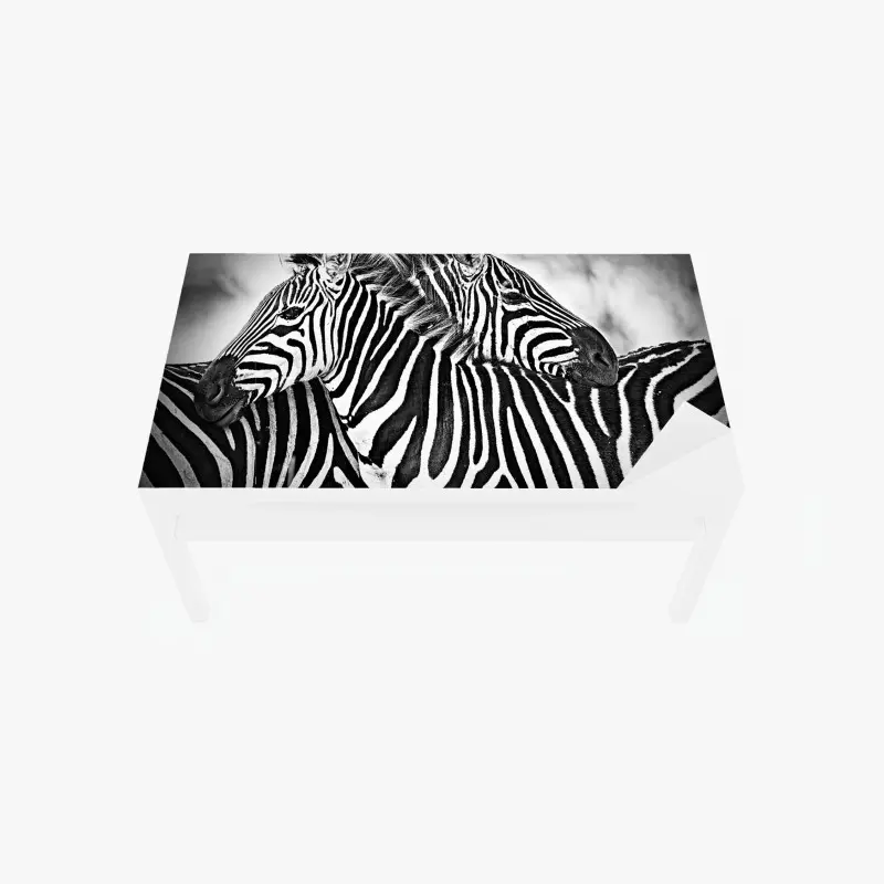 Tischaufkleber und Schreibtischaufkleber intimes zebra-porträt in schwarzweiß