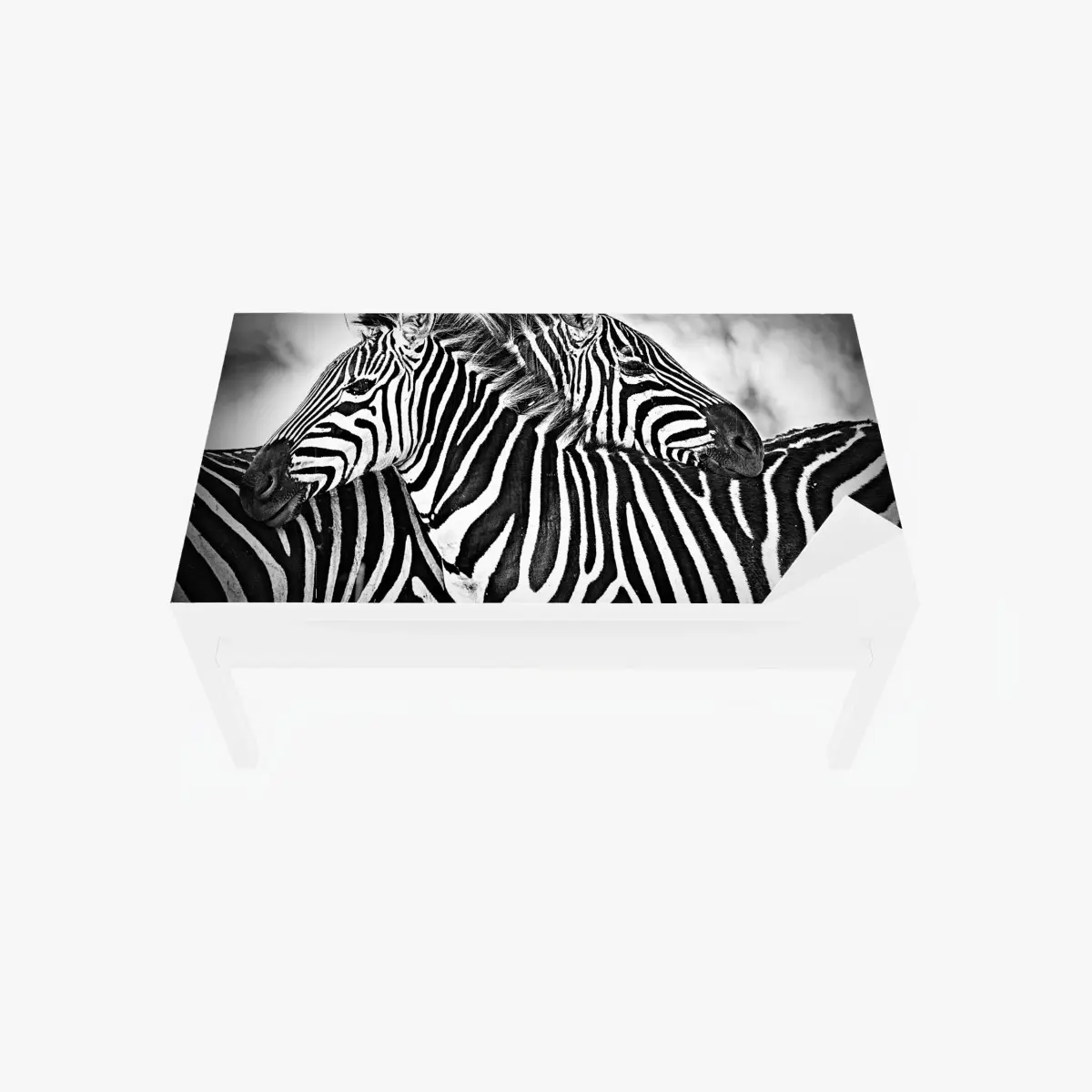 Tischaufkleber und Schreibtischaufkleber intimes zebra-porträt in schwarzweiß – Pixers®