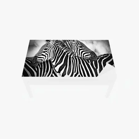 Tischaufkleber und Schreibtischaufkleber intimes zebra-porträt in schwarzweiß – Pixers®