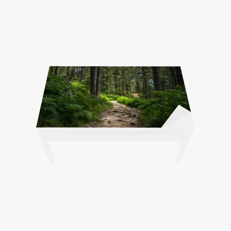 Tischaufkleber und Schreibtischaufkleber ruhiger waldpfad durch üppiges grün