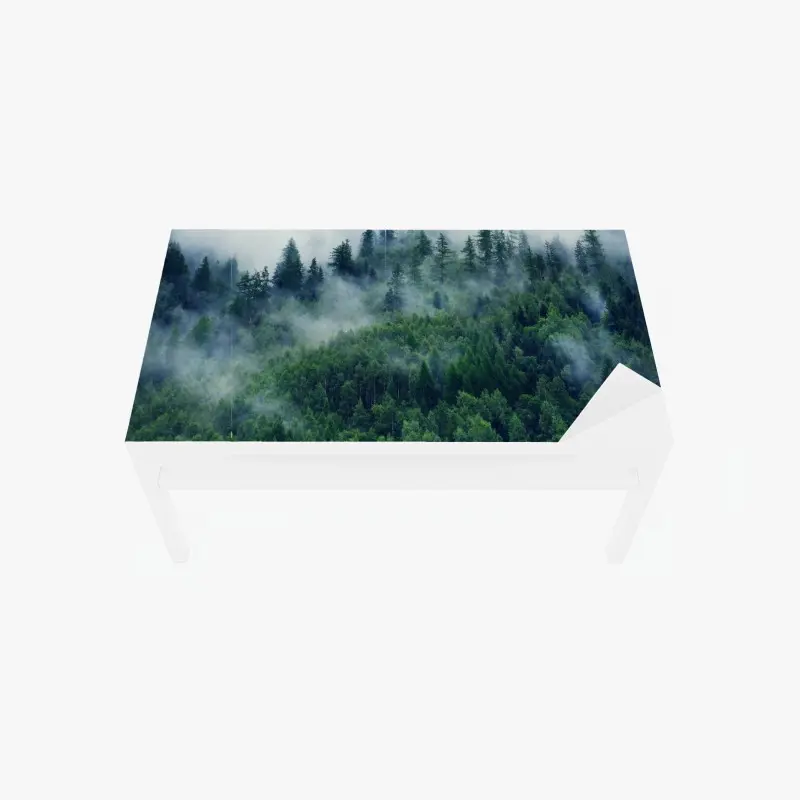 Tischaufkleber und Schreibtischaufkleber nebliger grüner wald