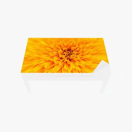 Tischaufkleber und Schreibtischaufkleber strahlende sonnenblume nahaufnahme – Pixers®