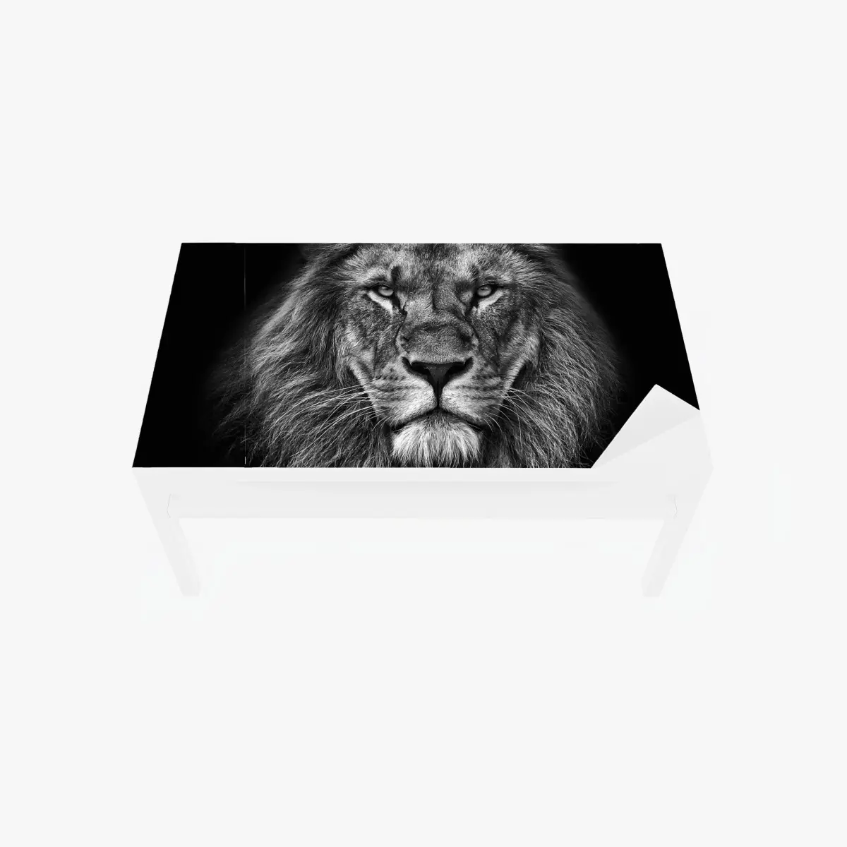 Tischaufkleber und Schreibtischaufkleber majestätisches löwenportrait in monochrom – Pixers®