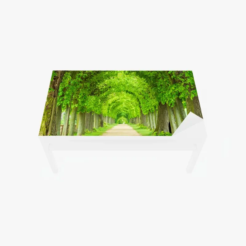 Tischaufkleber und Schreibtischaufkleber grüner baumtunnel