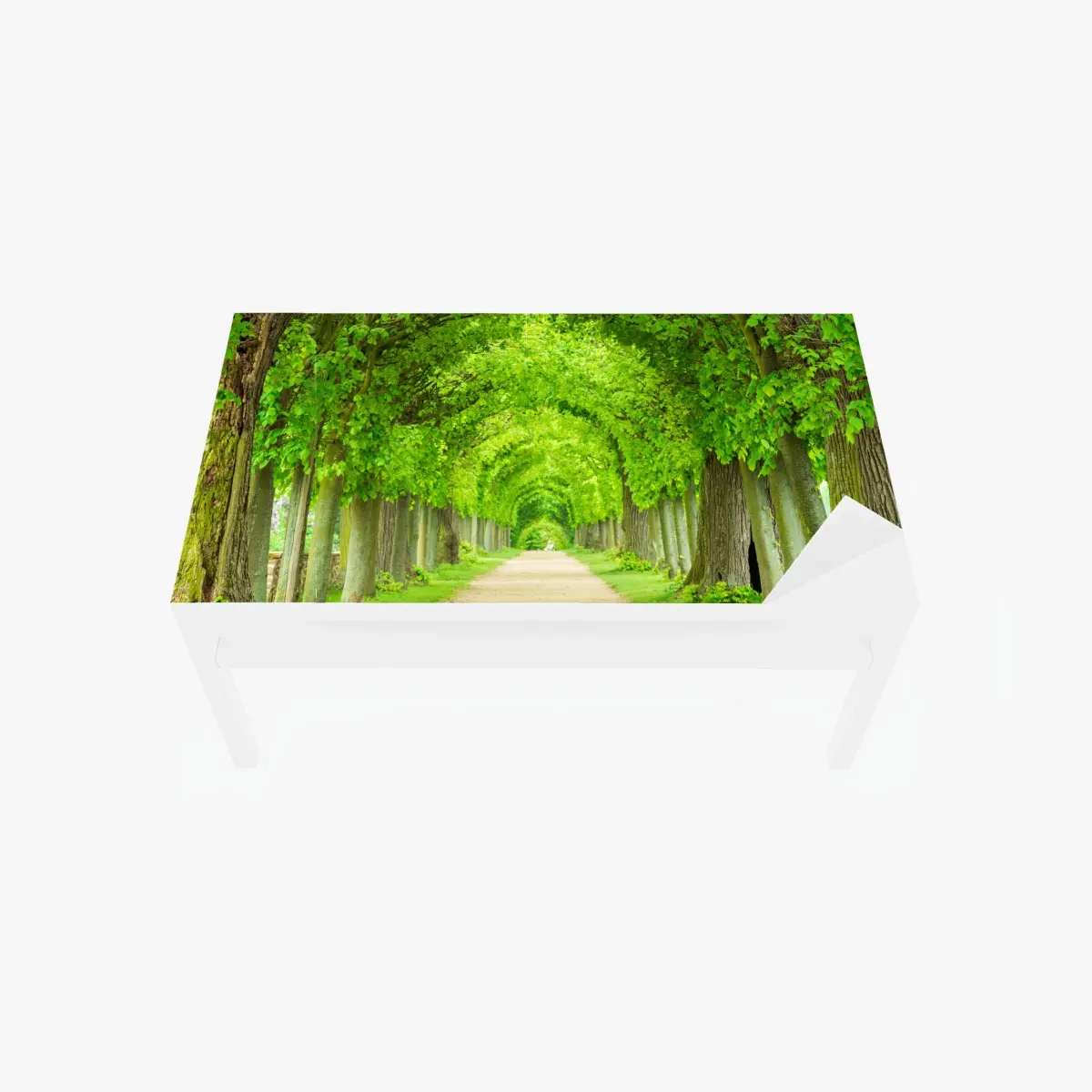 Tischaufkleber und Schreibtischaufkleber grüner baumtunnel – Pixers®
