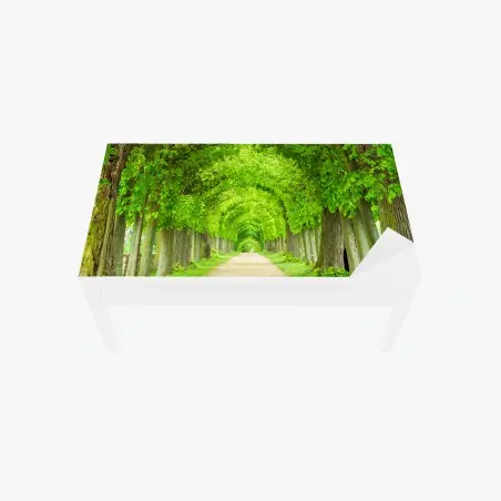 Tischaufkleber und Schreibtischaufkleber grüner baumtunnel – Pixers®