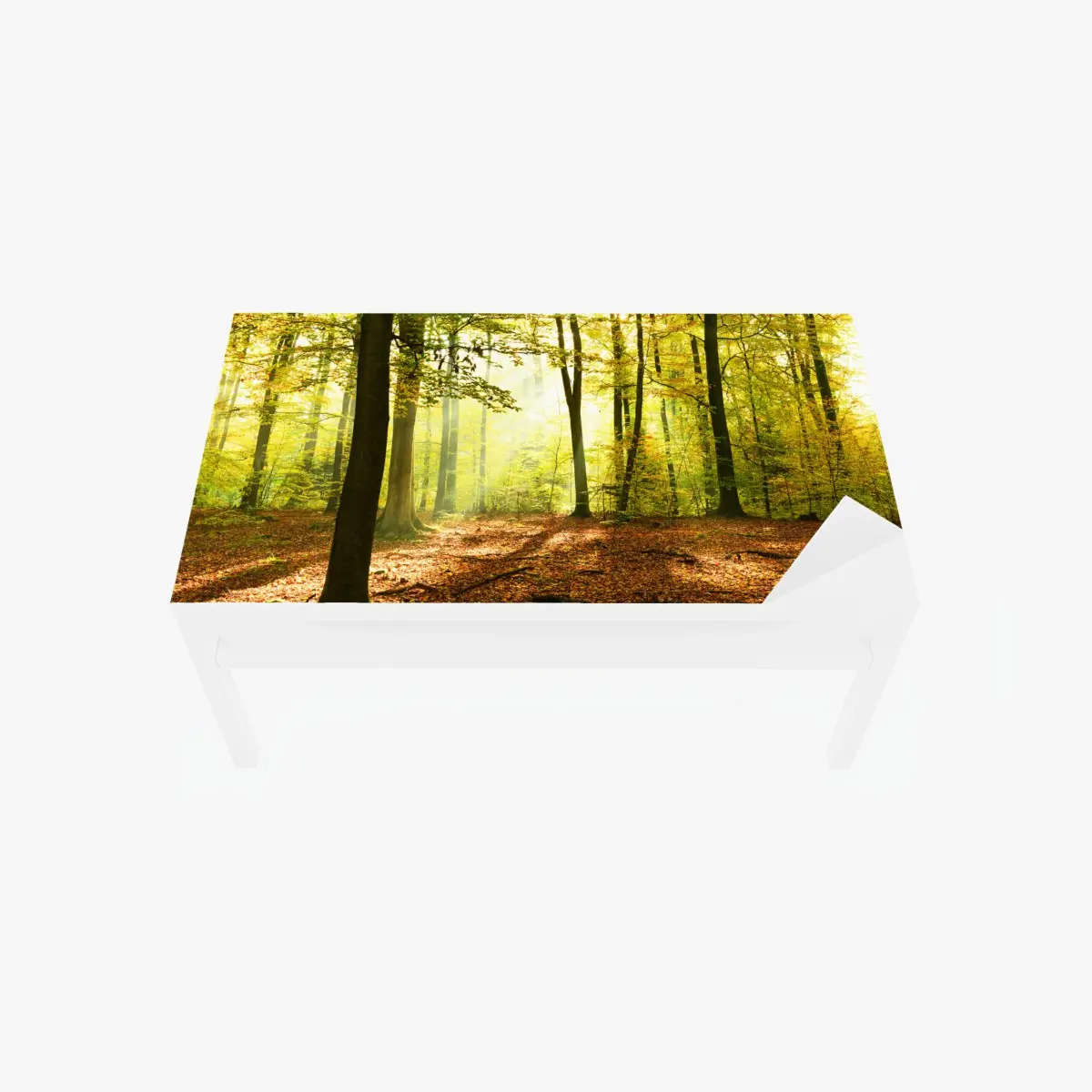 Tischaufkleber und Schreibtischaufkleber goldener herbstwald am morgen – Pixers®