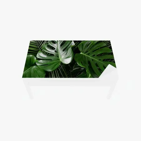 Tischaufkleber und Schreibtischaufkleber üppige monstera-blätter – Pixers®