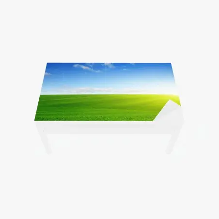 Tischaufkleber und Schreibtischaufkleber sonnenbeschienene grüne wiese im morgenlicht – Pixers®