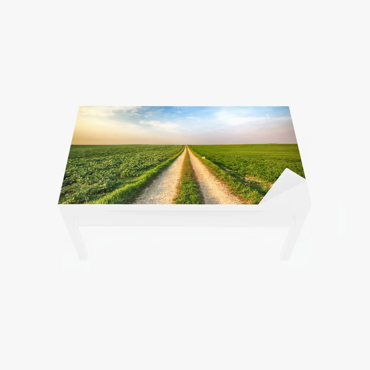 Tischaufkleber und Schreibtischaufkleber feldweg durch grüne felder – Pixers®