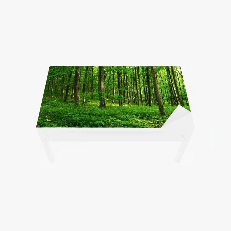 Tischaufkleber und Schreibtischaufkleber sonniger grüner wald im frühling