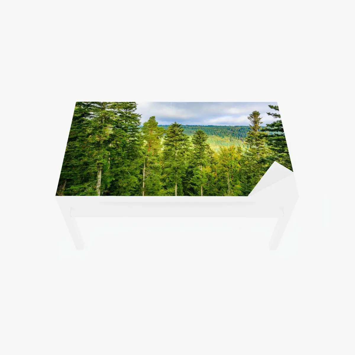 Tischaufkleber und Schreibtischaufkleber Schwarzwald herbstliche waldlandschaft – Pixers®