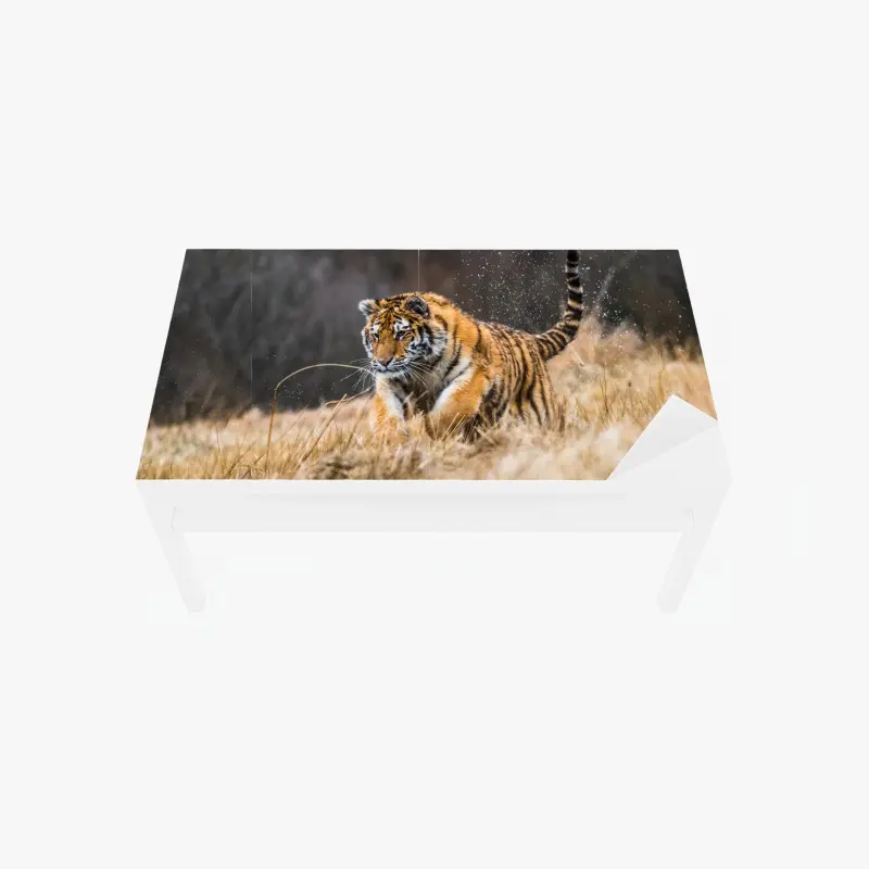 Tischaufkleber und Schreibtischaufkleber sibirischer tiger in bewegung