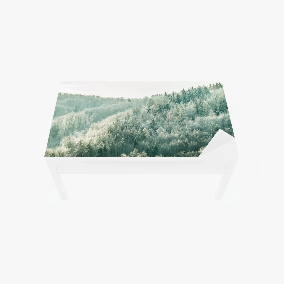 Tischaufkleber und Schreibtischaufkleber nebliger reifbedeckter wald – Pixers®