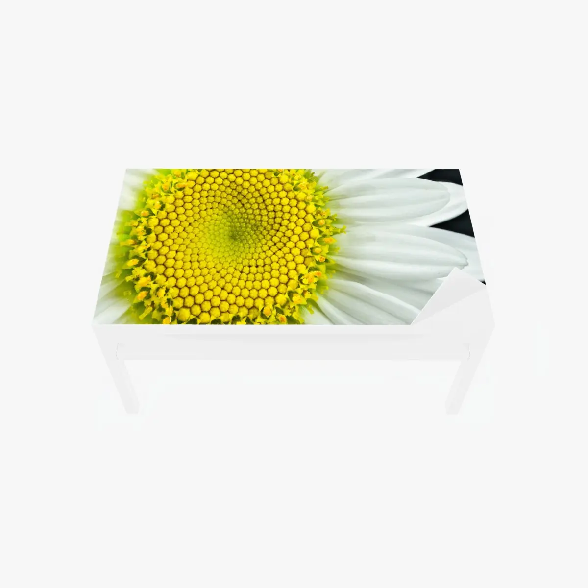 Tischaufkleber und Schreibtischaufkleber makro gänseblümchen spiralmuster – Pixers®