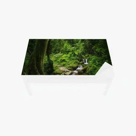 Tischaufkleber und Schreibtischaufkleber üppiger grüner waldwasserfall – Pixers®