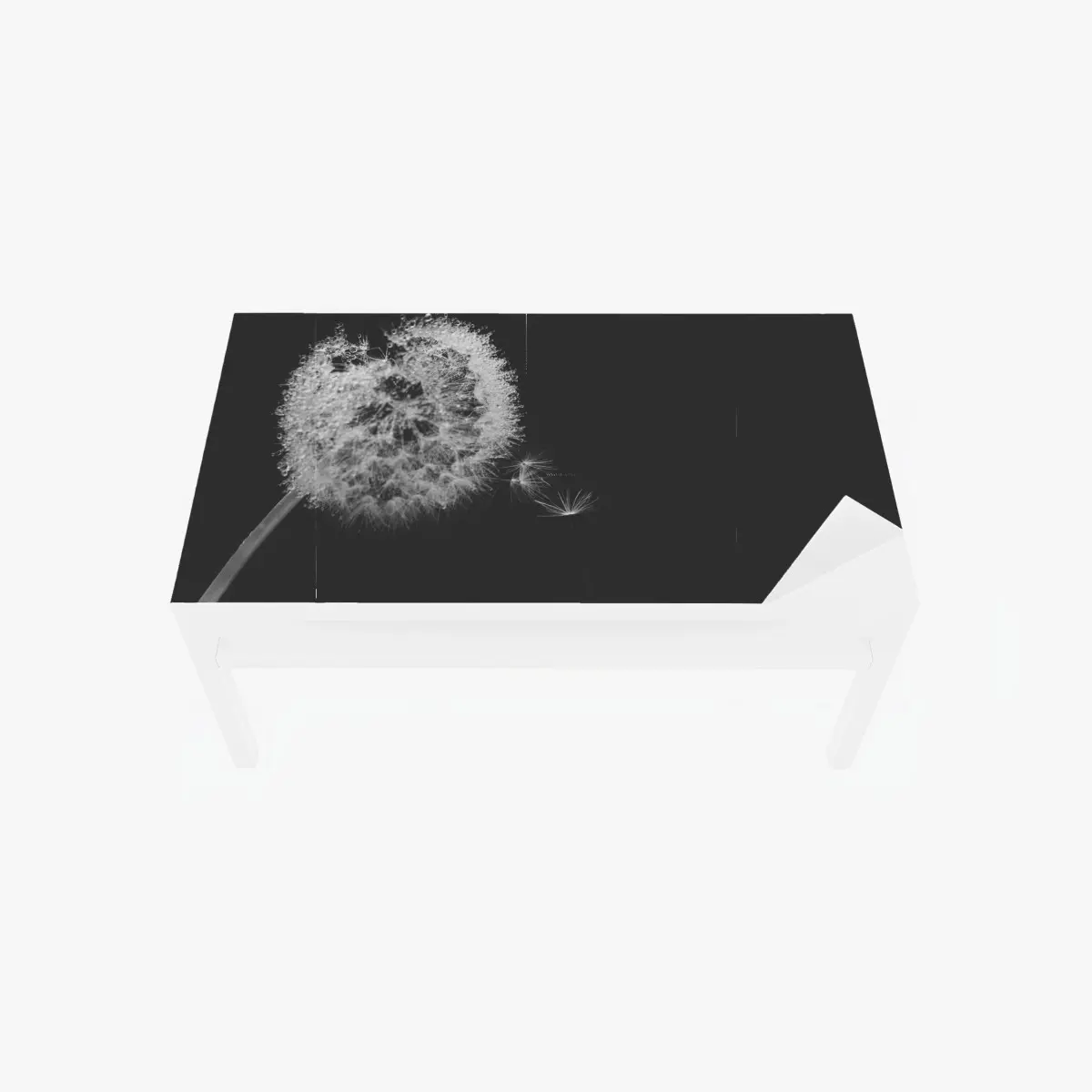 Tischaufkleber und Schreibtischaufkleber zarter löwenzahn in monochrom – Pixers®