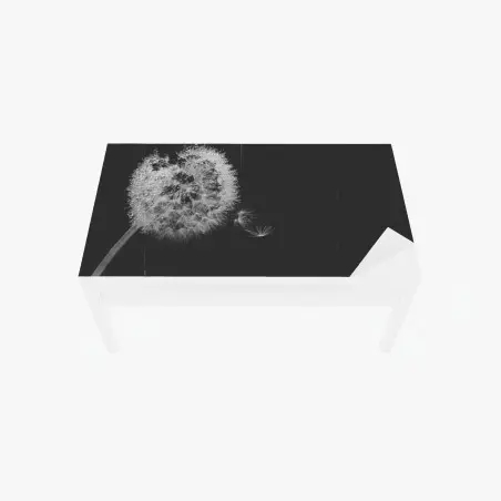 Tischaufkleber und Schreibtischaufkleber zarter löwenzahn in monochrom – Pixers®