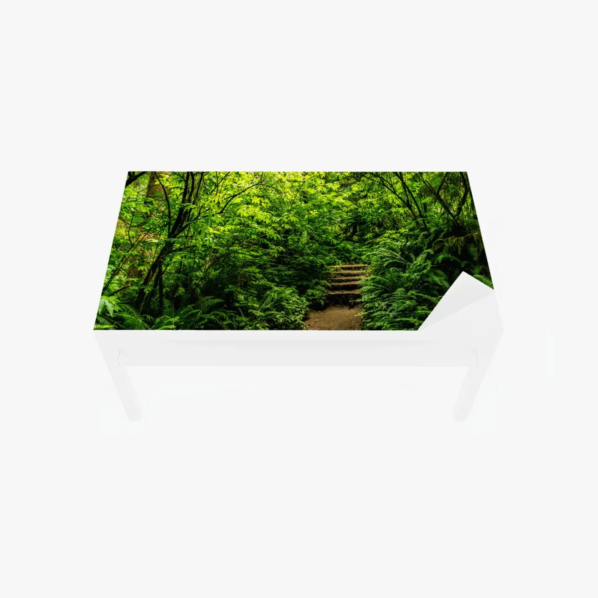 Tischaufkleber und Schreibtischaufkleber üppiger waldpfad – Pixers®