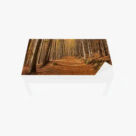 Tischaufkleber und Schreibtischaufkleber herbstlicher waldweg mit goldenen blättern – Pixers®