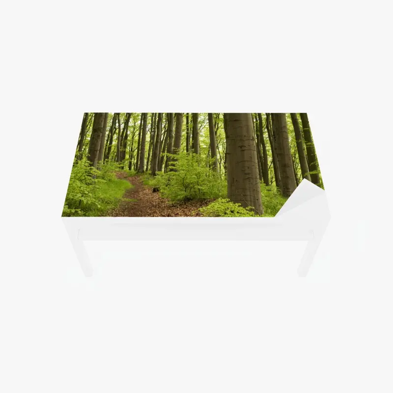 Tischaufkleber und Schreibtischaufkleber ruhiger grüner waldweg