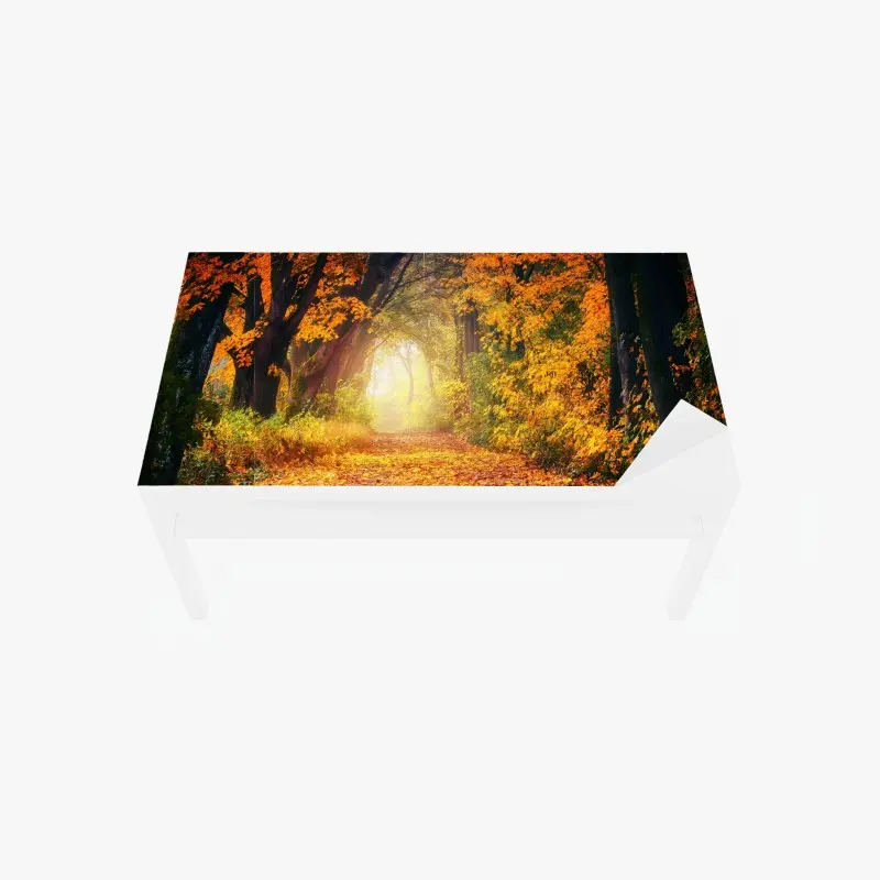 Tischaufkleber und Schreibtischaufkleber herbstlicher waldpfad im goldenen licht