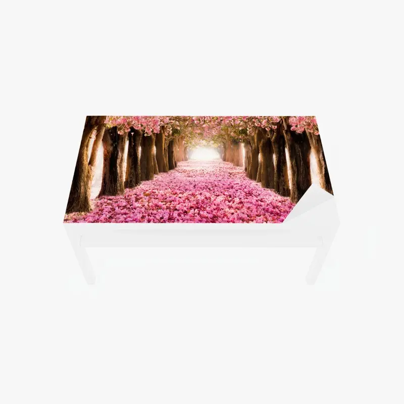 Tischaufkleber und Schreibtischaufkleber rosa blütenallee unter kirschbäumen