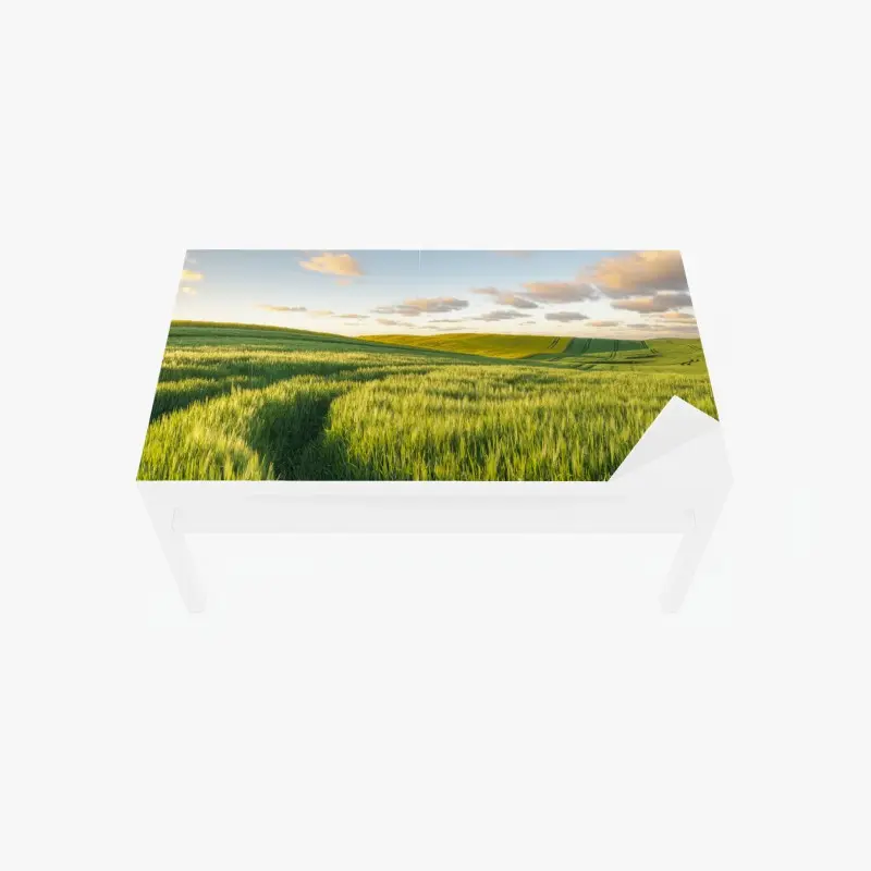 Tischaufkleber und Schreibtischaufkleber ruhige grüne wiesen panorama