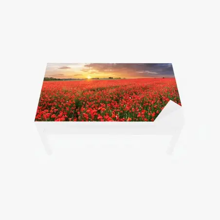 Tischaufkleber und Schreibtischaufkleber mohnfeld im sonnenuntergang – Pixers®